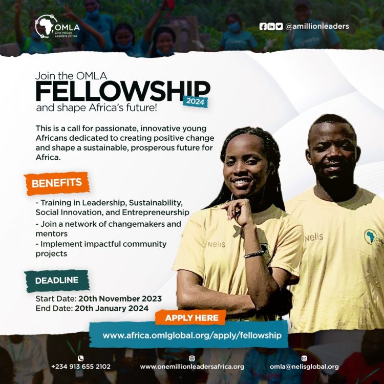Call for Applications: OMLA Fellowship Program For Young African Innovators |Training, Mentorship, and $500 fund