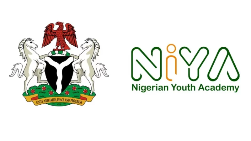 Federal Ministry of Youth Development Empowering Programme (2024-2027) – NIYA