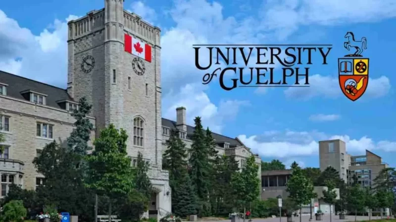 University of Guelph Scholarships in Canada 2024
