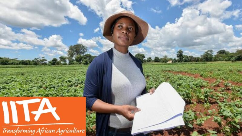 Call for Application: Youth in Agribusiness Training Programme 2024