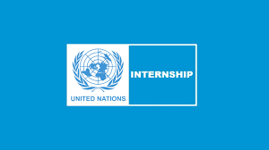 United Nations Volunteer-Digital Impact, Technology and Innovation