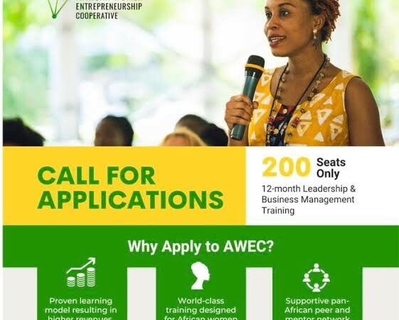Call for Applications: African Women Entrepreneurship Cooperative (AWEC) Program 2024 for African Female Business Owners (Cohort 7)