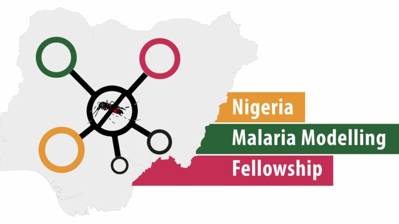 Fully Funded Malaria Modelling Fellowship 2024 for Nigerian public health professionals