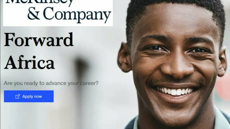 McKinsey & Company Young Leadership Programme 2024 Fellowships for young Africans