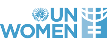 Apply Now for the Database Analyst Remote Vacancy At UN Women