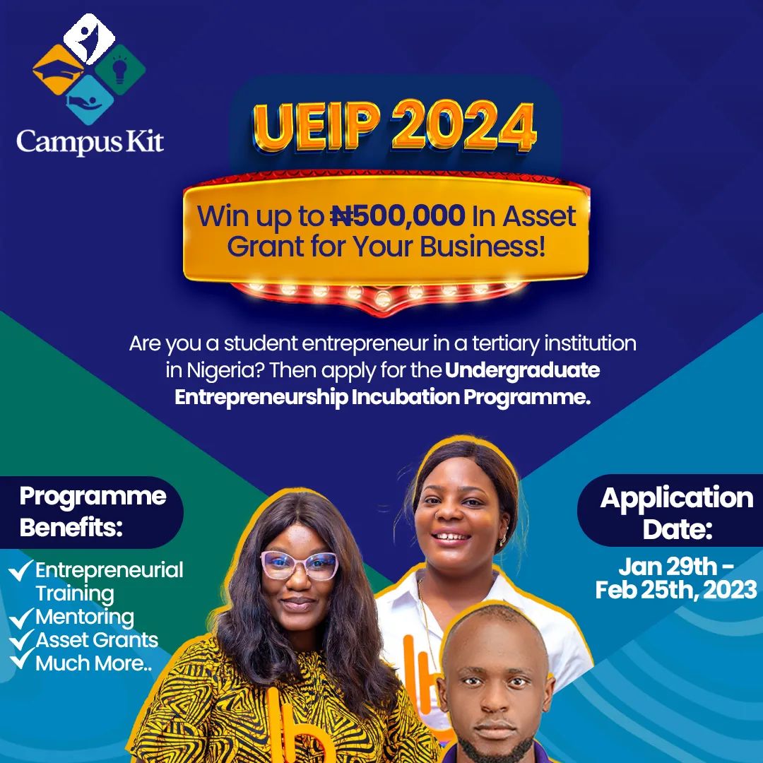 Biodun and Ibikunle Foundation Undergraduate Entrepreneurship Incubation Program 2024 (UEIP)