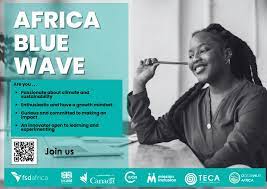 Call for Applications: TECA Africa Blue Wave |Funding for African Innovators