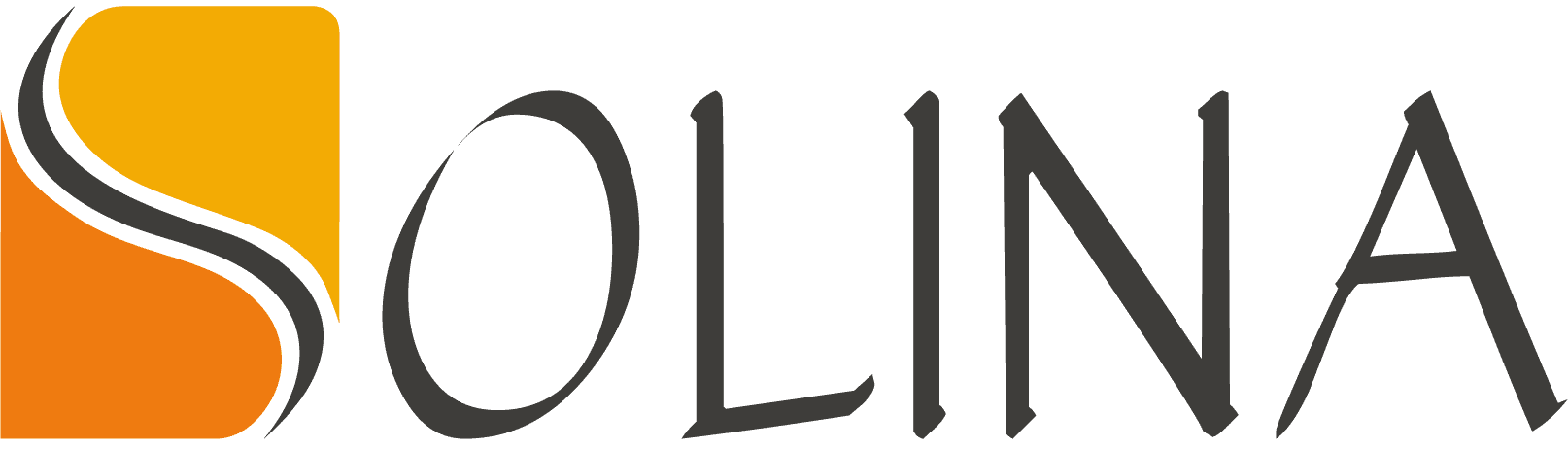 Apply Now: Solina group is hiring a Procurement Assistant is needed