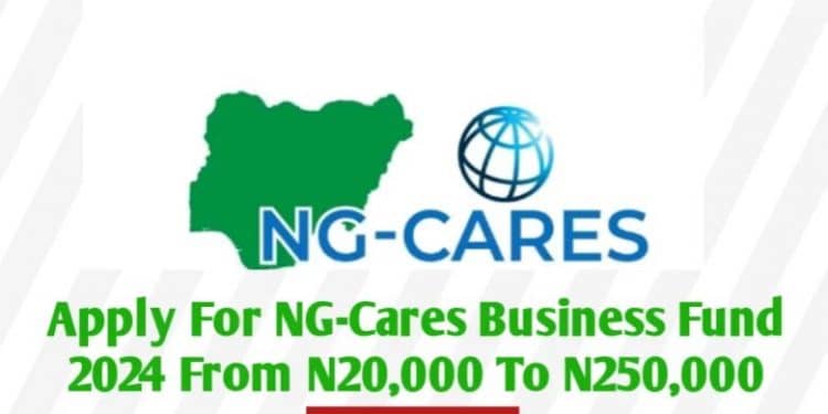 Call for Applications: NG-Cares Business Fund 2024 |From #50,000 to #250,000 to Entrepreneur