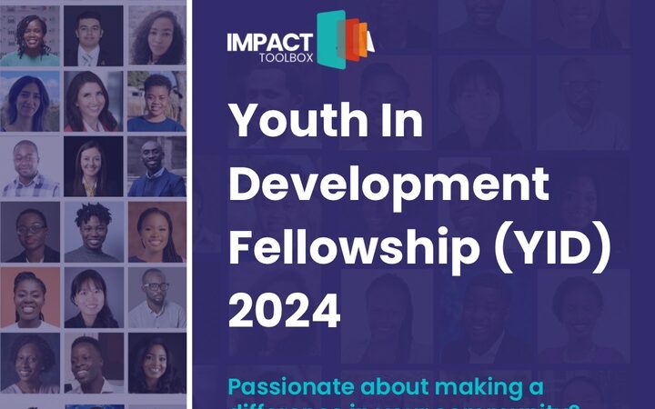 Call for Applications: Impact Toolbox Youth in Development Fellowship 2024