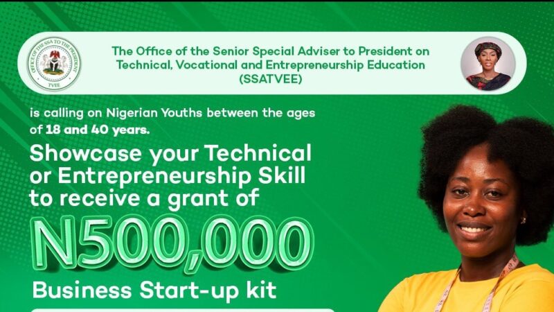 Federal Government Technical Entrepreneurship Skill Grant