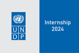 Call for Application: Publications Editor and Writer Interns Needed at UNDP