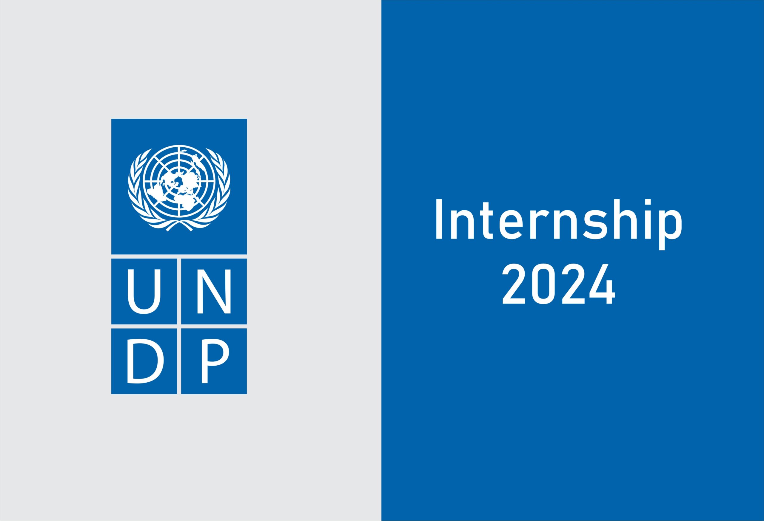 Advocacy and Communications Interns Needed at UNDP