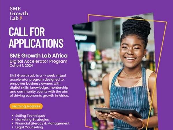 SME Growth Lab Africa Digital Accelerator Program 2024 for African SMEs