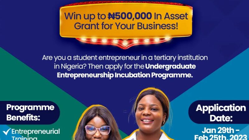 Biodun and Ibikunle Foundation Undergraduate Entrepreneurship Incubation Program 2024 (UEIP)