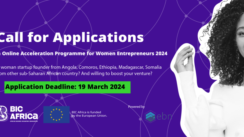 Call for Applications: BIC Africa Online Acceleration Programme 2024 for Women Entrepreneurs