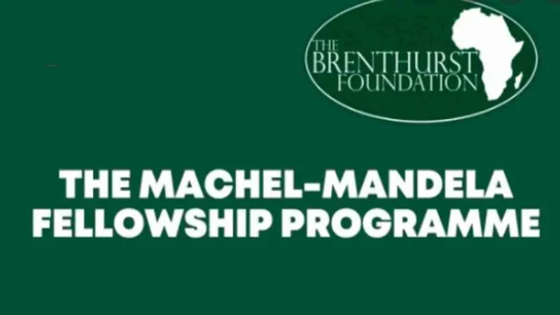 Brenthurst Foundation Machel-Mandela Internship Programme 2024 for young graduates