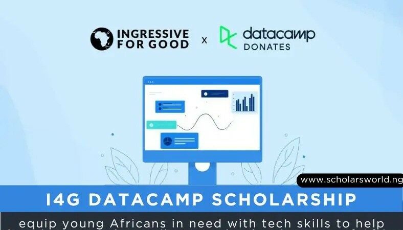 Call for Applications: I4G DataCamp Scholarship 2024