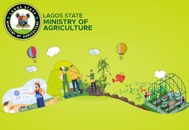 The Lagos Agripreneurship Intensive Training Program 2024 // for Unemployed Nigerians