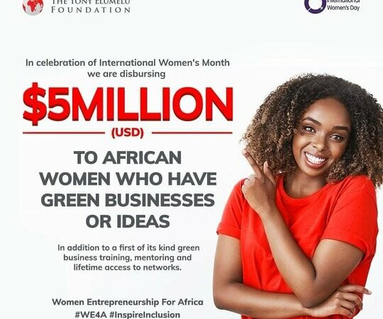 Grants for Small Businesses in Nigeria (March 2024)